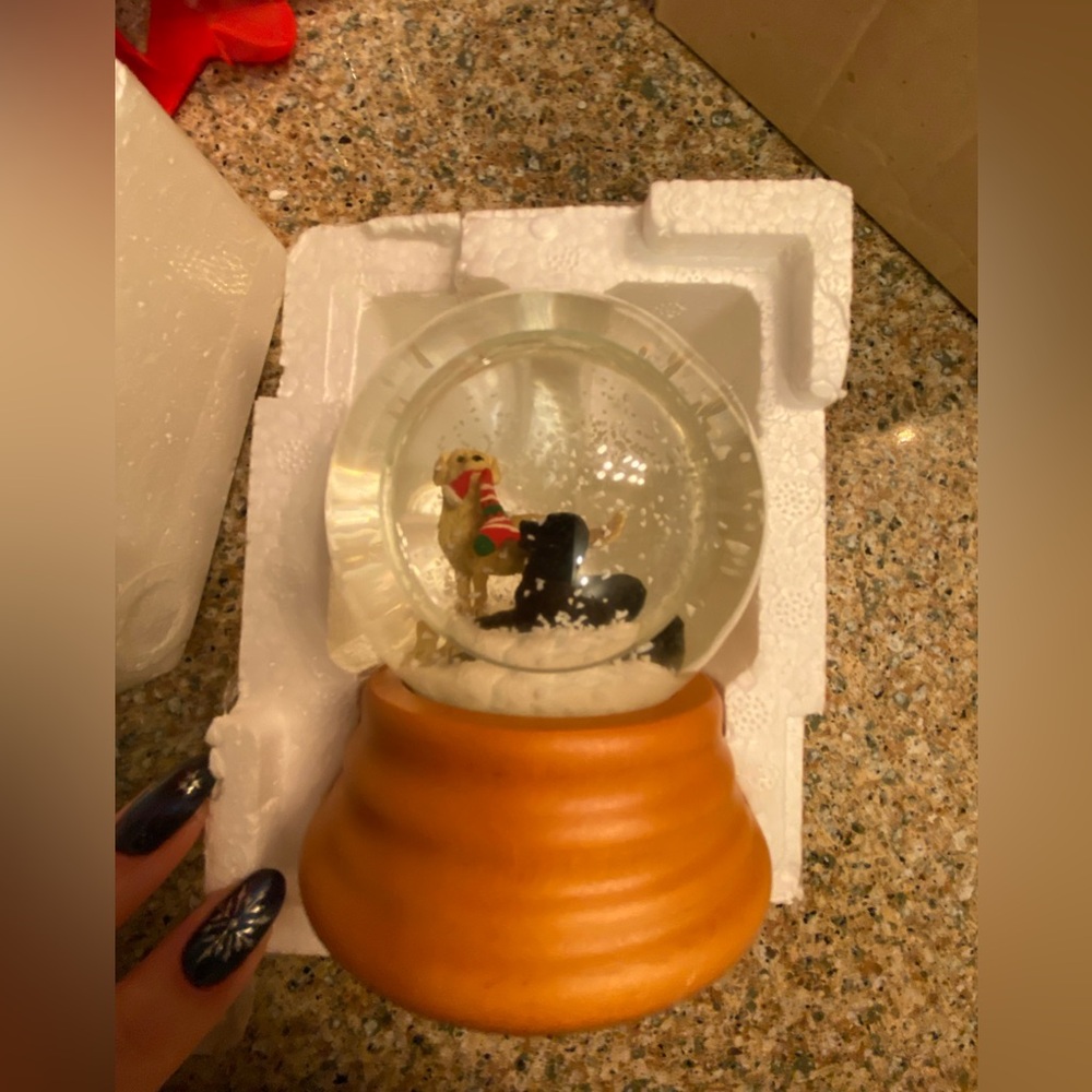 2002 Eddie Bauer dog snow globe.